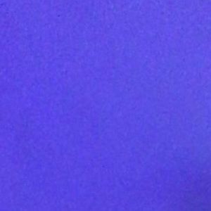 Meet your Posher, Ann